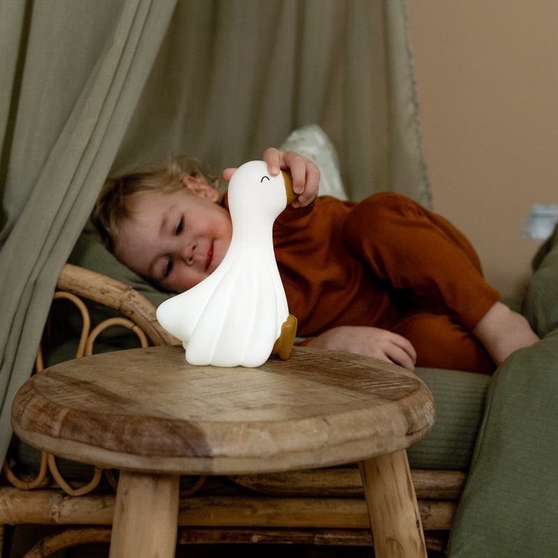 nachtlamp, little goose - LITTLE DUTCH
