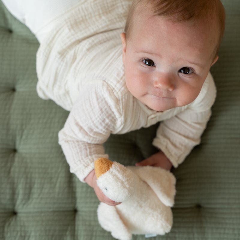 knuffel tuimelaar, little goose - LITTLE DUTCH