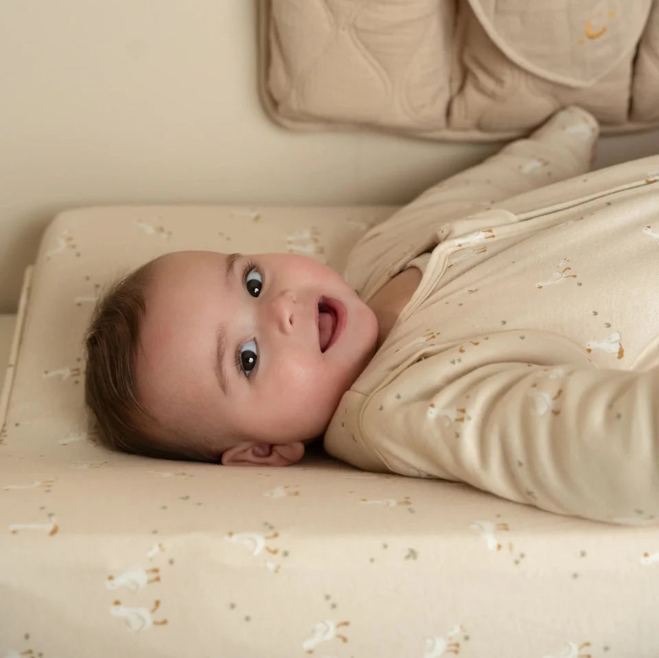 hoes verzorgingskussen, little goose – LITTLE DUTCH