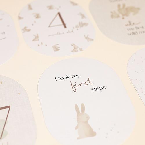 milestone cards newborn naturals - LITTLE DUTCH