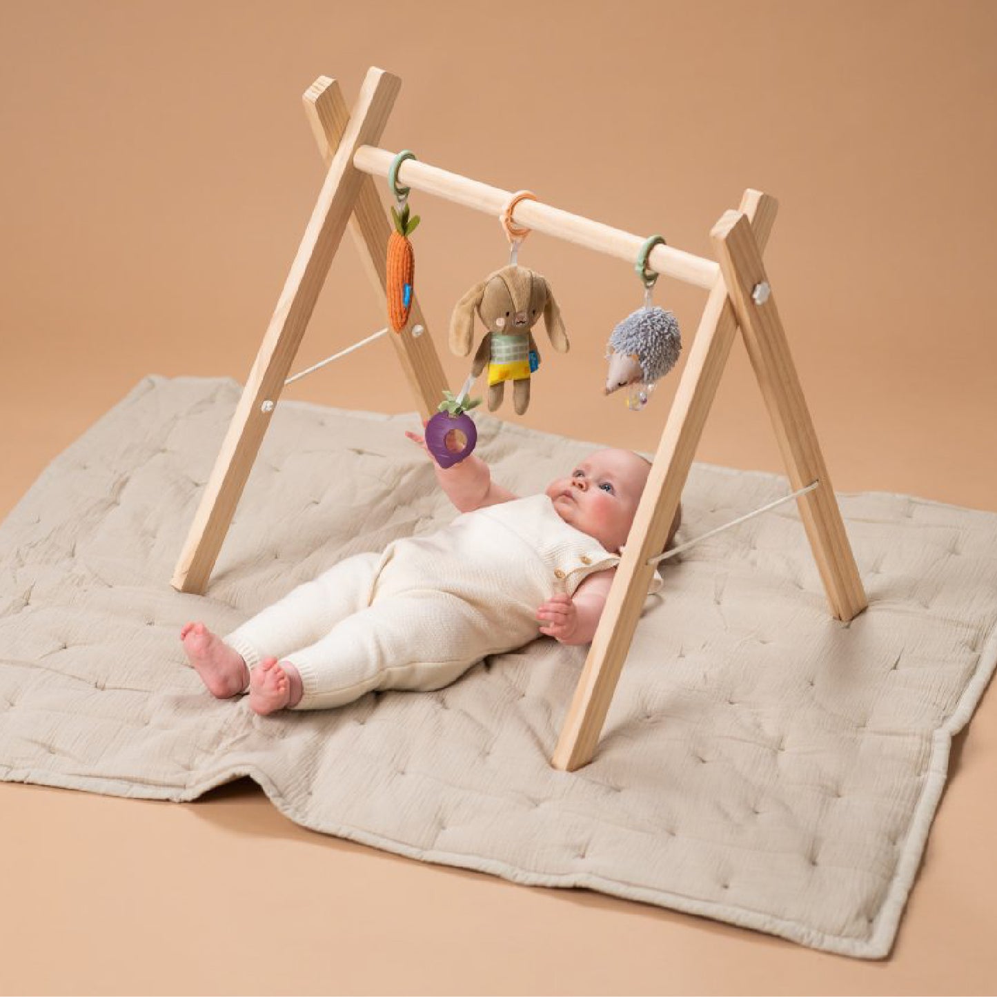 babygym speeltjes, urban garden - TAF TOYS