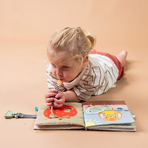 boekje, busy - TAF TOYS