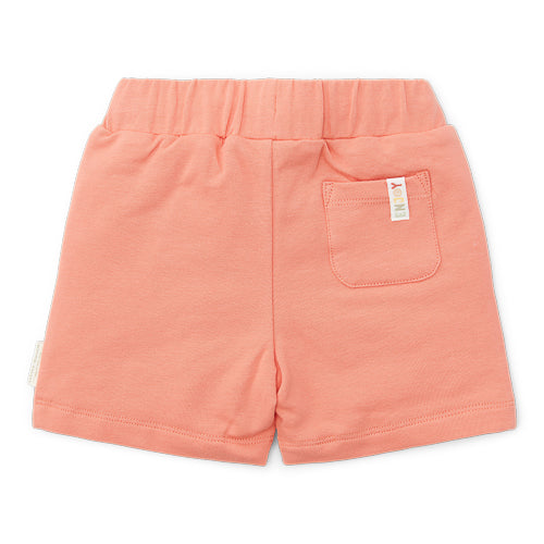short little farmer, red - LITTLE DUTCH