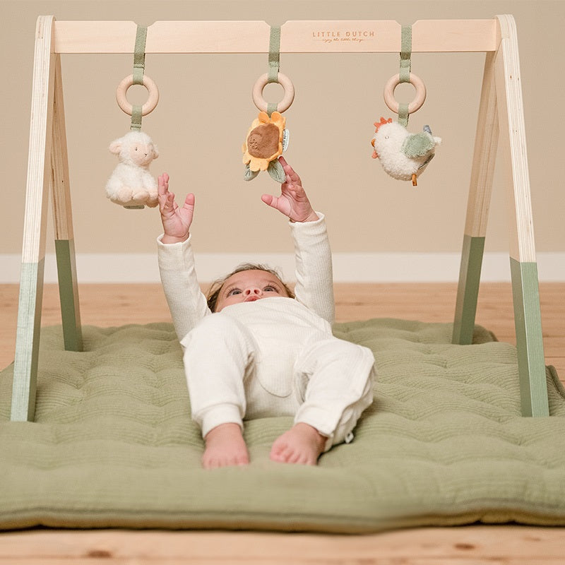 babygym, little farm - LITTLE DUTCH