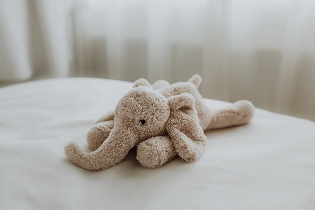 knuffel + geluid, george blush - FLOW AMSTERDAM