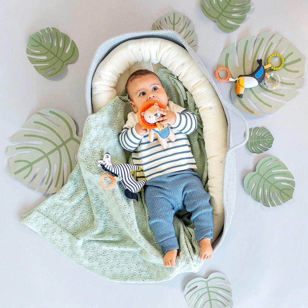 activiteitenspeeltje, Harry the mini Lion - TAF TOYS
