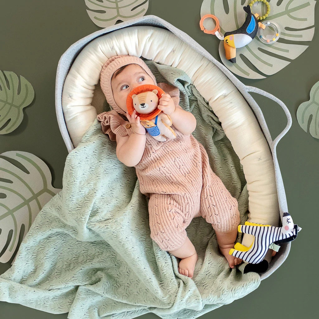 activiteitenspeeltje, Harry the mini Lion - TAF TOYS
