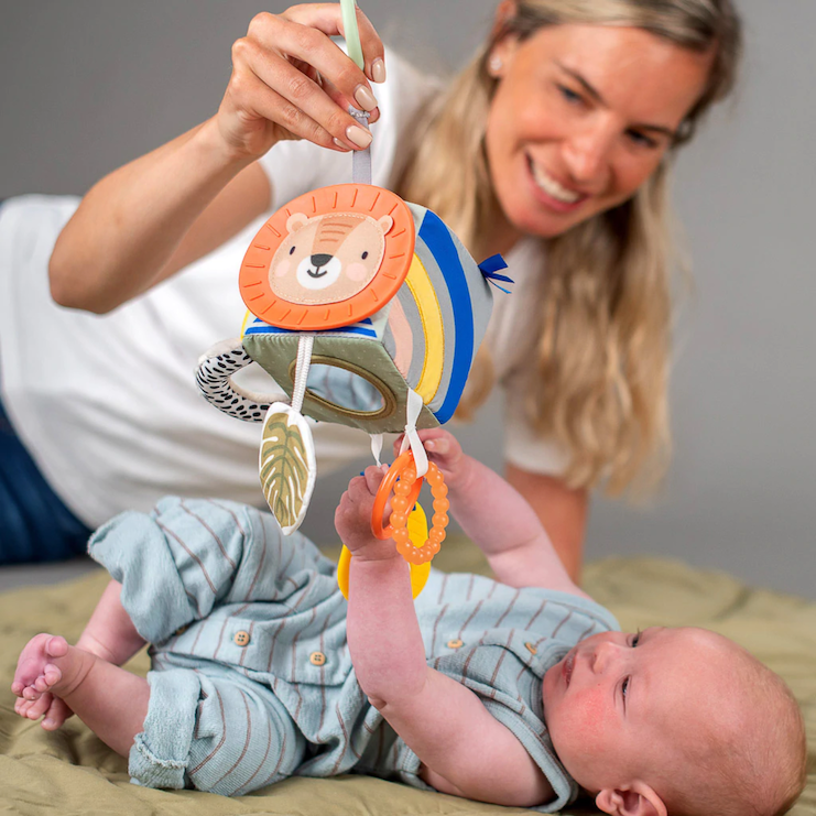 activiteitenspeeltje, Savannah Cube - TAF TOYS
