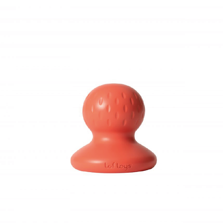 magnetisch visspel - TAF TOYS