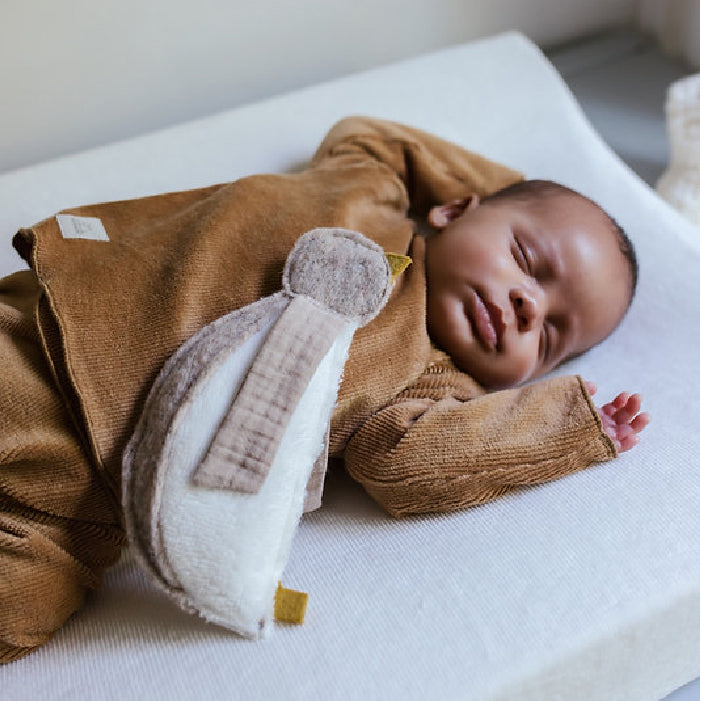 rammelaar pinguïn - NANAMI