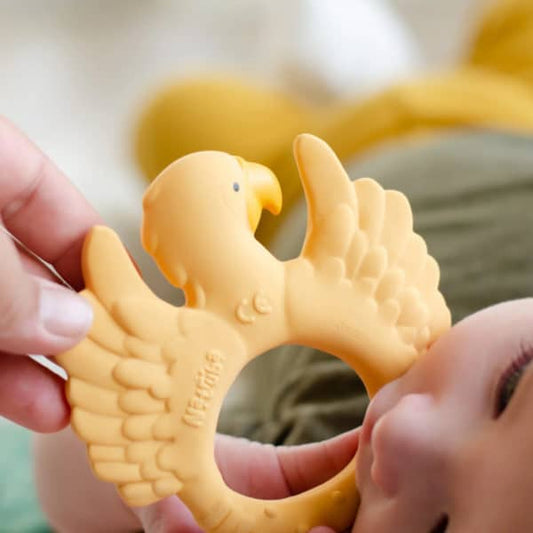 bijtring papegaai, oranje - NATRUBA