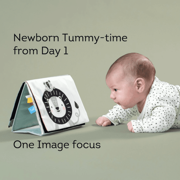 activiteitenspeelgoed, savannah tummy time book - TAF TOYS