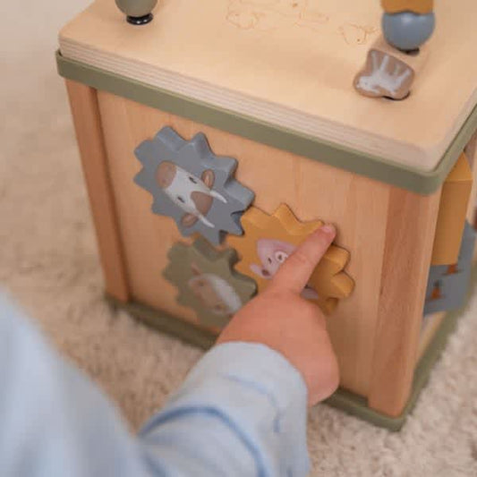activiteitenkubus little farm – LITTLE DUTCH