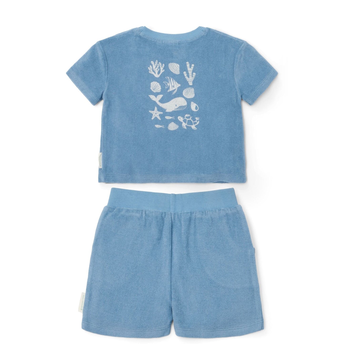 sweater+broek sealife, blue - LITTLE DUTCH