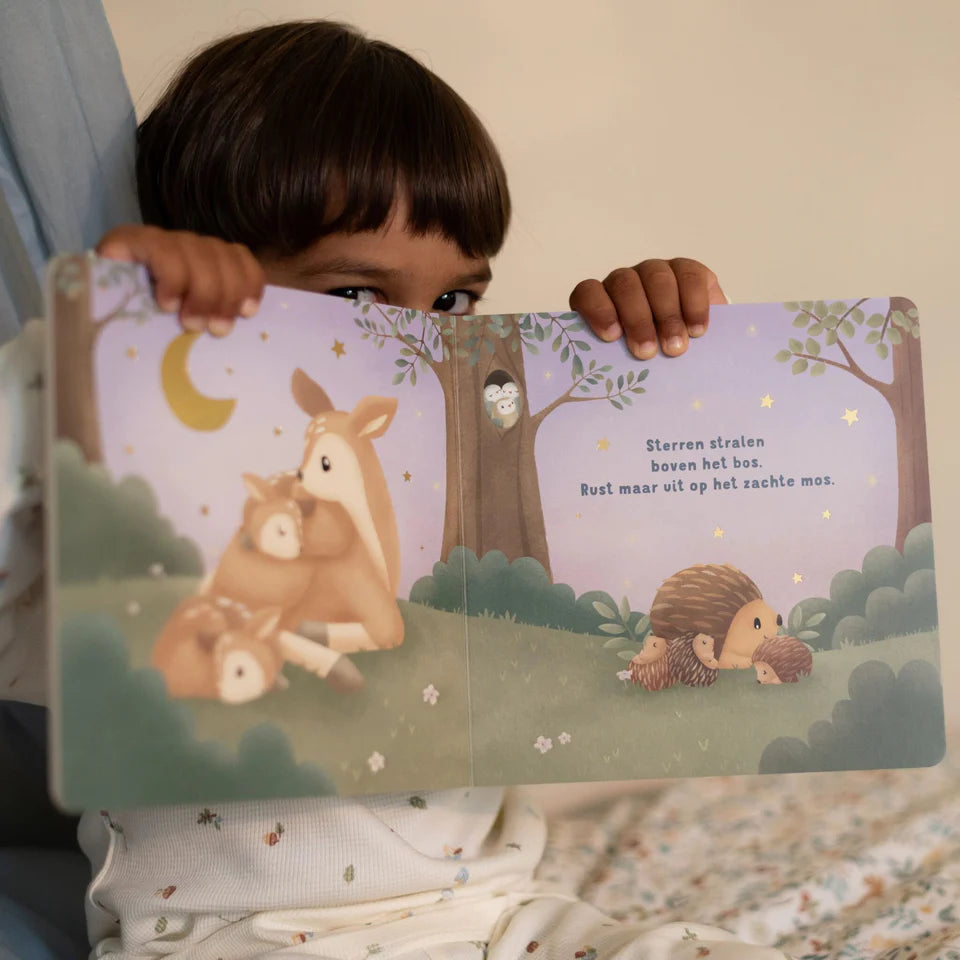 voorleesboek, Welterusten kleintje - LITTLE DUTCH