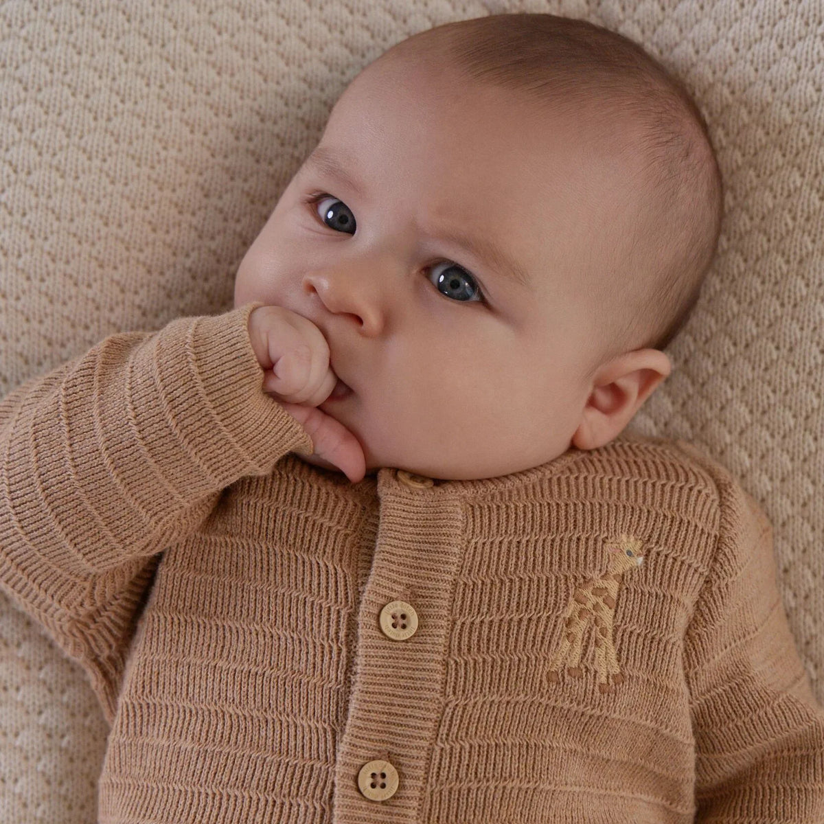 gilet gebreid safari friends, brown - LITTLE DUTCH