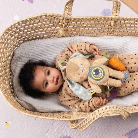 activiteitenspeeltje, jenny bunny - TAF TOYS