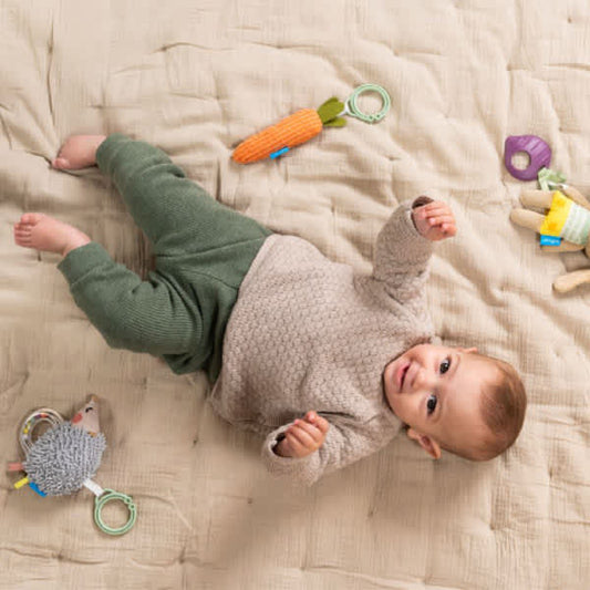 babygym speeltjes, urban garden - TAF TOYS