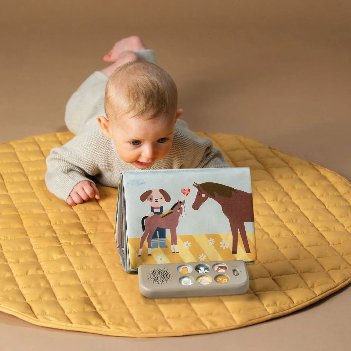 boekje tummy time, farm musical - TAF TOYS