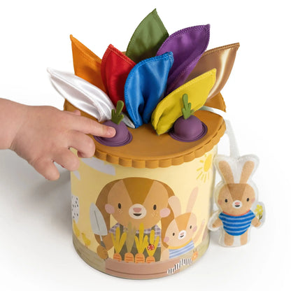 activiteitenbox pop & pull - TAF TOYS