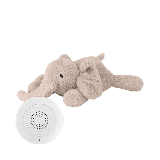 knuffel + geluid, george blush - FLOW AMSTERDAM