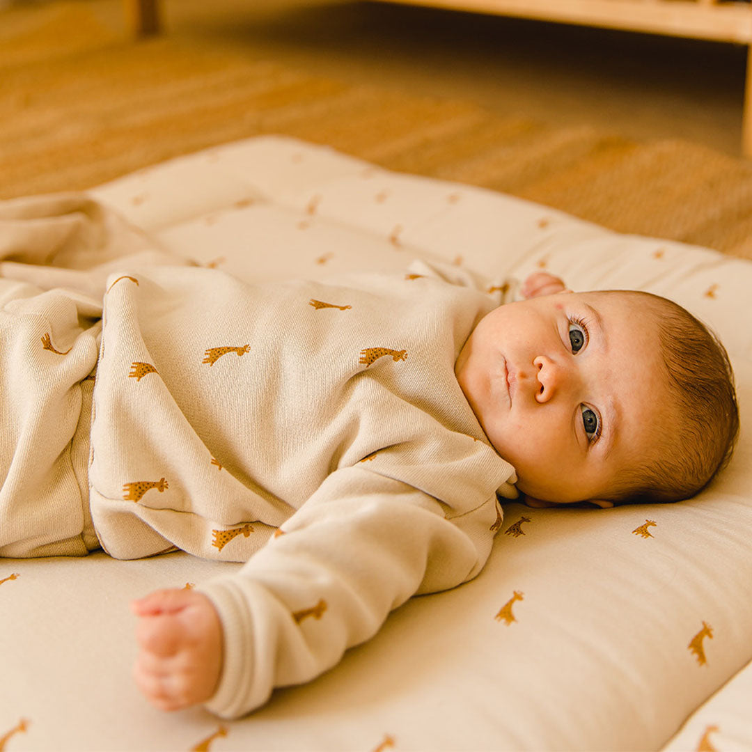 sweater + broek, safari - GLOOP!