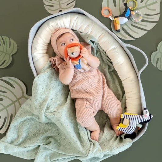 activiteitenspeeltje, Harry the mini Lion - TAF TOYS