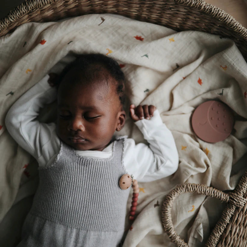 inbakerdoek dinosaurs – MUSHIE