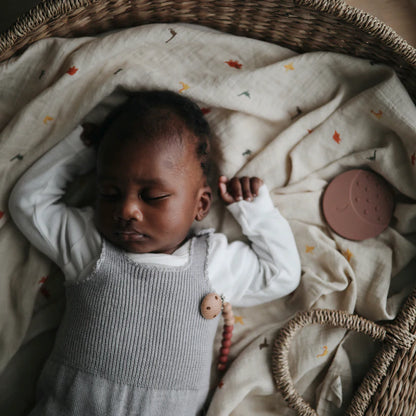 inbakerdoek dinosaurs – MUSHIE