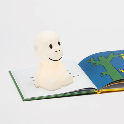 nachtlampje, Aap bundle of light, mini - MR. MARIA