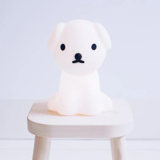 nachtlampje, Snuffie eerste licht, medium -MR. MARIA