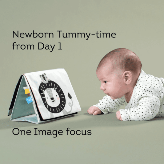 activiteitenspeelgoed, savannah tummy time book - TAF TOYS