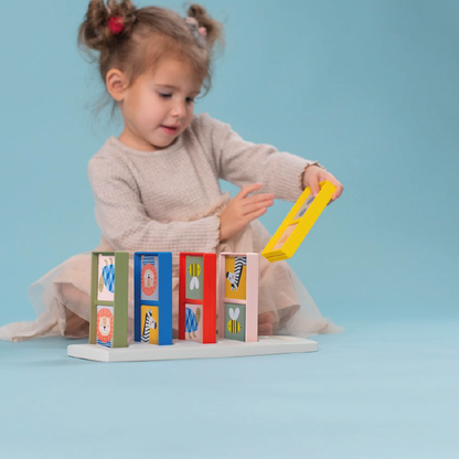 domino rally - TAF TOYS