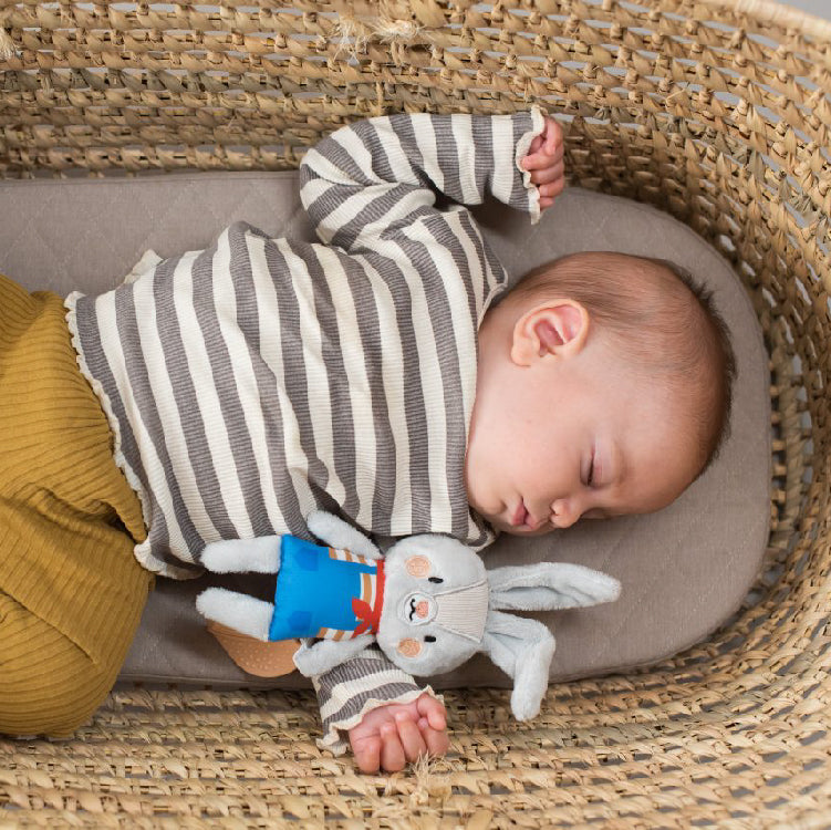 activiteitenspeeltje, Rylee the Bunny - TAF TOYS