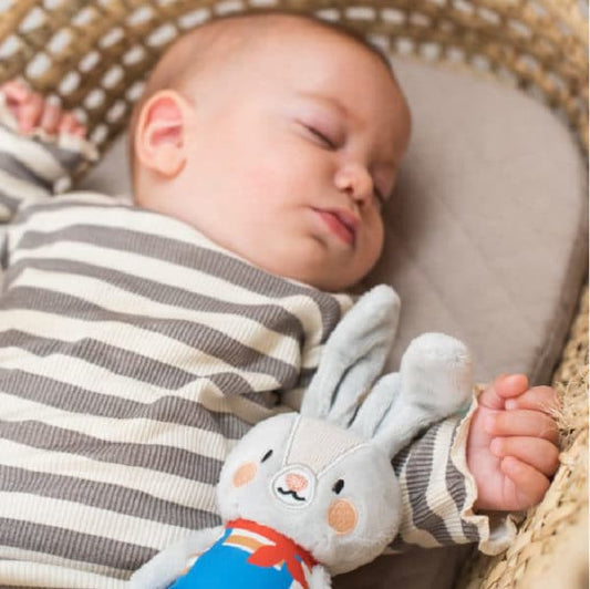 activiteitenspeeltje, Rylee the Bunny - TAF TOYS