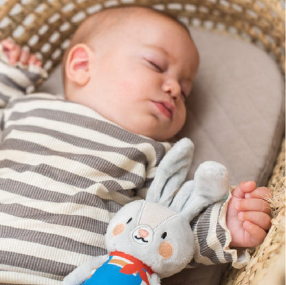 activiteitenspeeltje, Rylee the Bunny - TAF TOYS