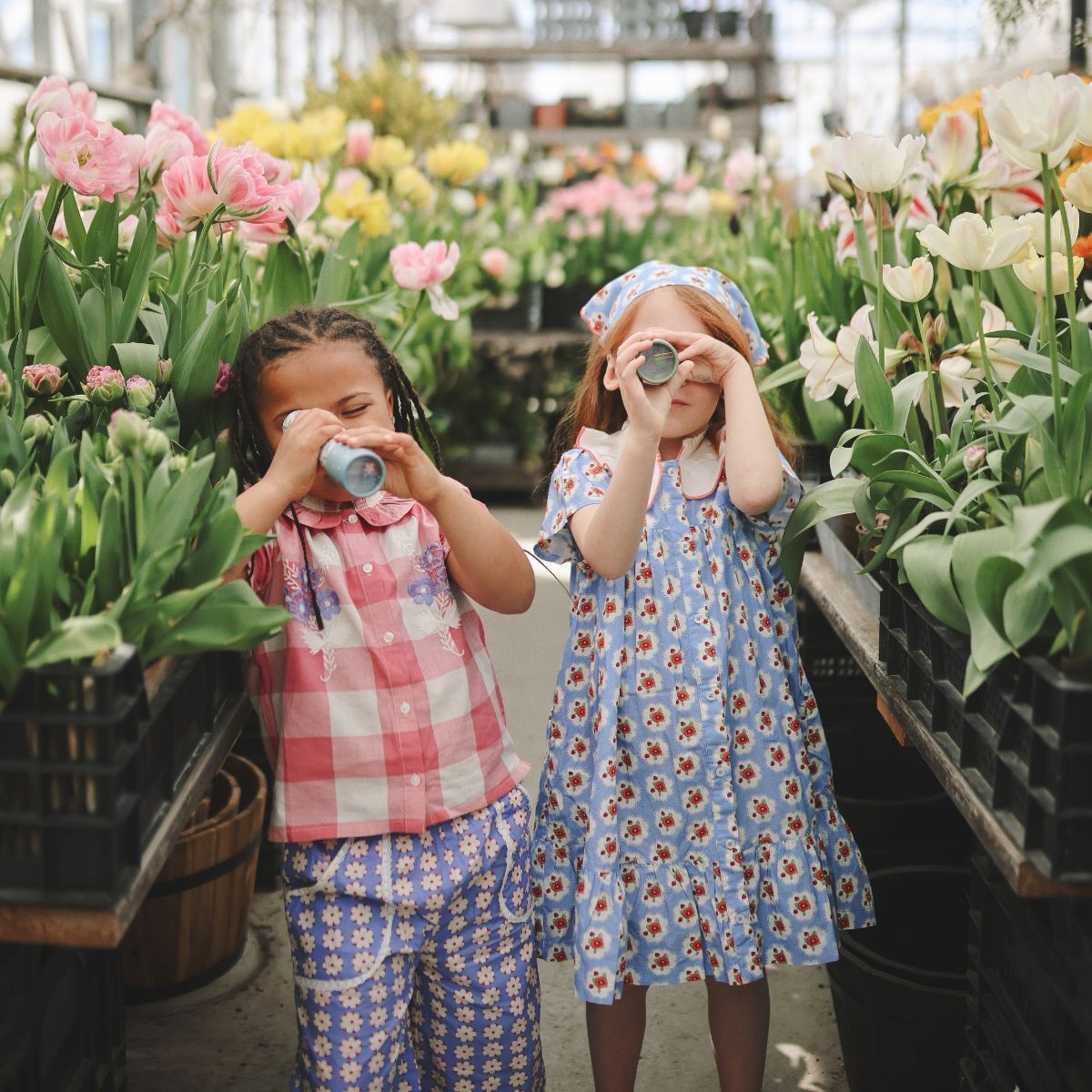 kaleidoscope, blooms/flowers - MUSHIE