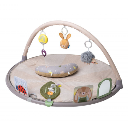 babygym activity tummy time - TAF TOYS